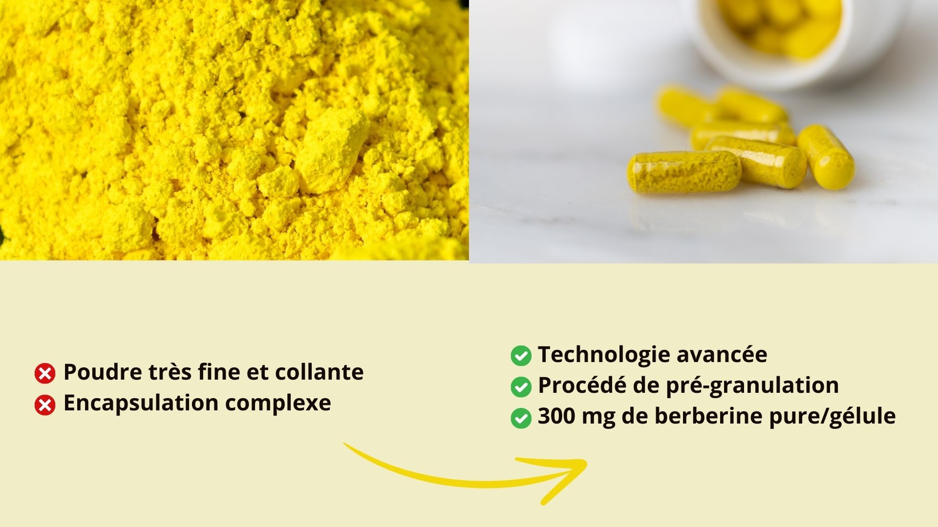  Technologie de formulation avancée pour des gélules ultra concentrées en berbérine